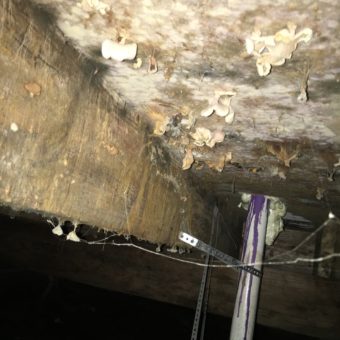 A ceiling with many wires hanging from it